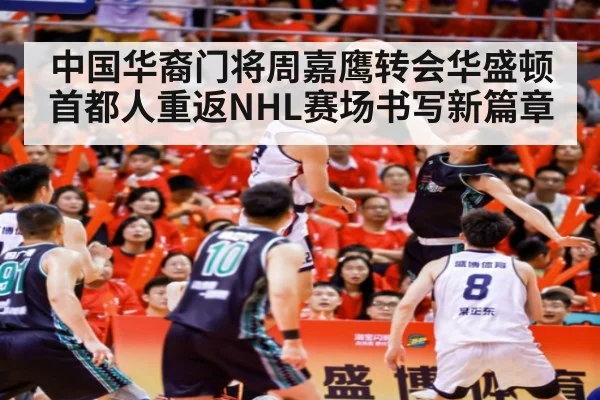中国华裔门将周嘉鹰转会华盛顿首都人重返NHL赛场书写新篇章